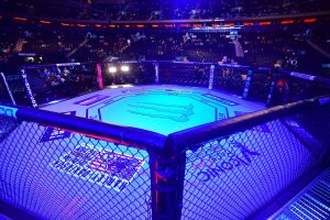 Promotional Guidelines Compliance Pay for UFC on ESPN 56 in 2024 Surpasses $3 Million